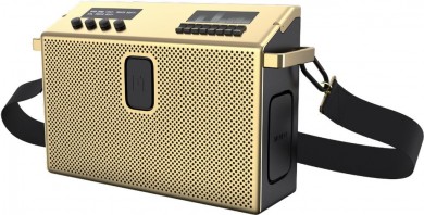 Bluetooth акустическая система Defunc Mondo BT Speaker Large Brass