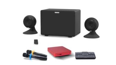 Караоке-комплект для дома EVOBOX Plus + микрофоны SE • 200D + аудиосистема EvoSound Sphere