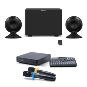 Караоке-комплект для дома EVOBOX + микрофоны SE • 200D + аудиосистема EvoSound Sphere